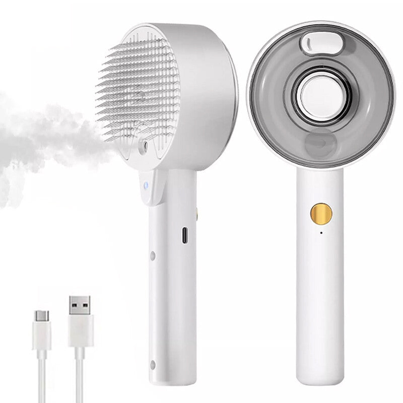 4 In 1 Cat Steam Brush Pet